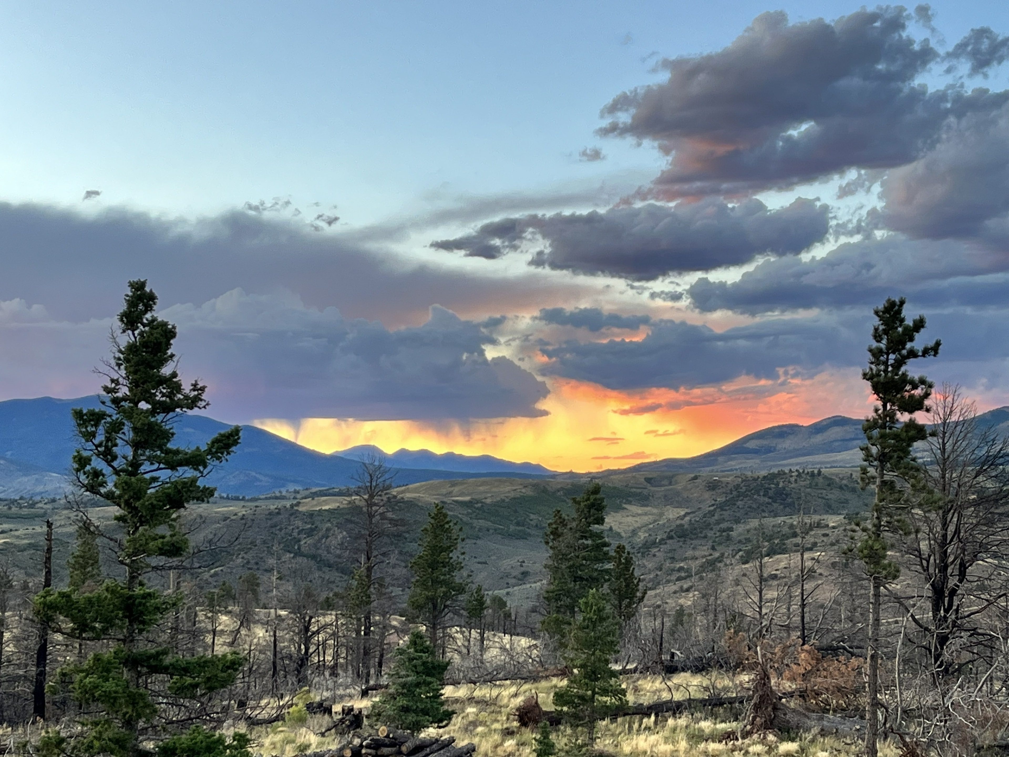 Fiery orange and yellow sunset over the mountains with pine trees silhouetted