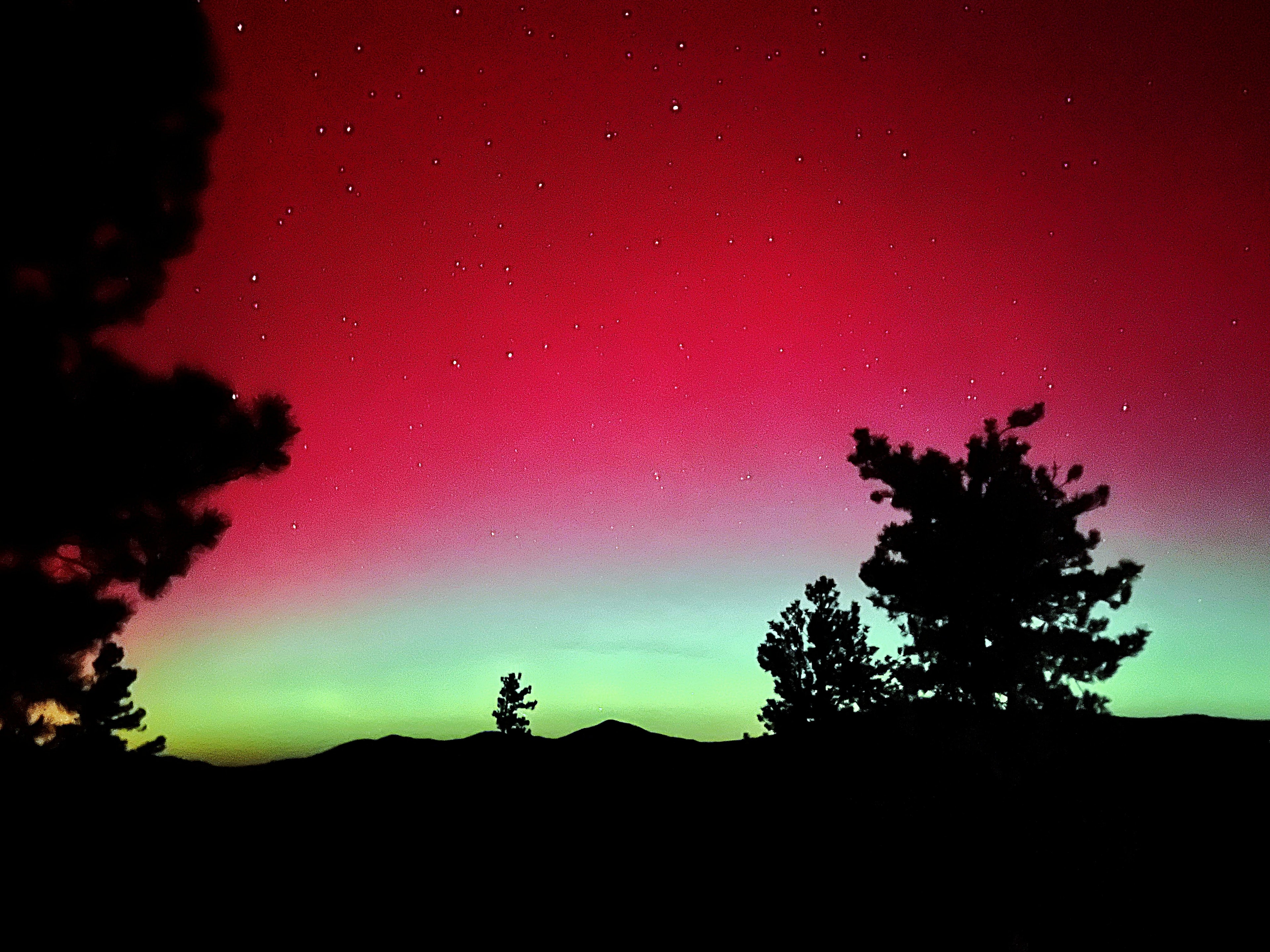 Northern lights aurora borealis with red and green sky over silhouetted pine trees