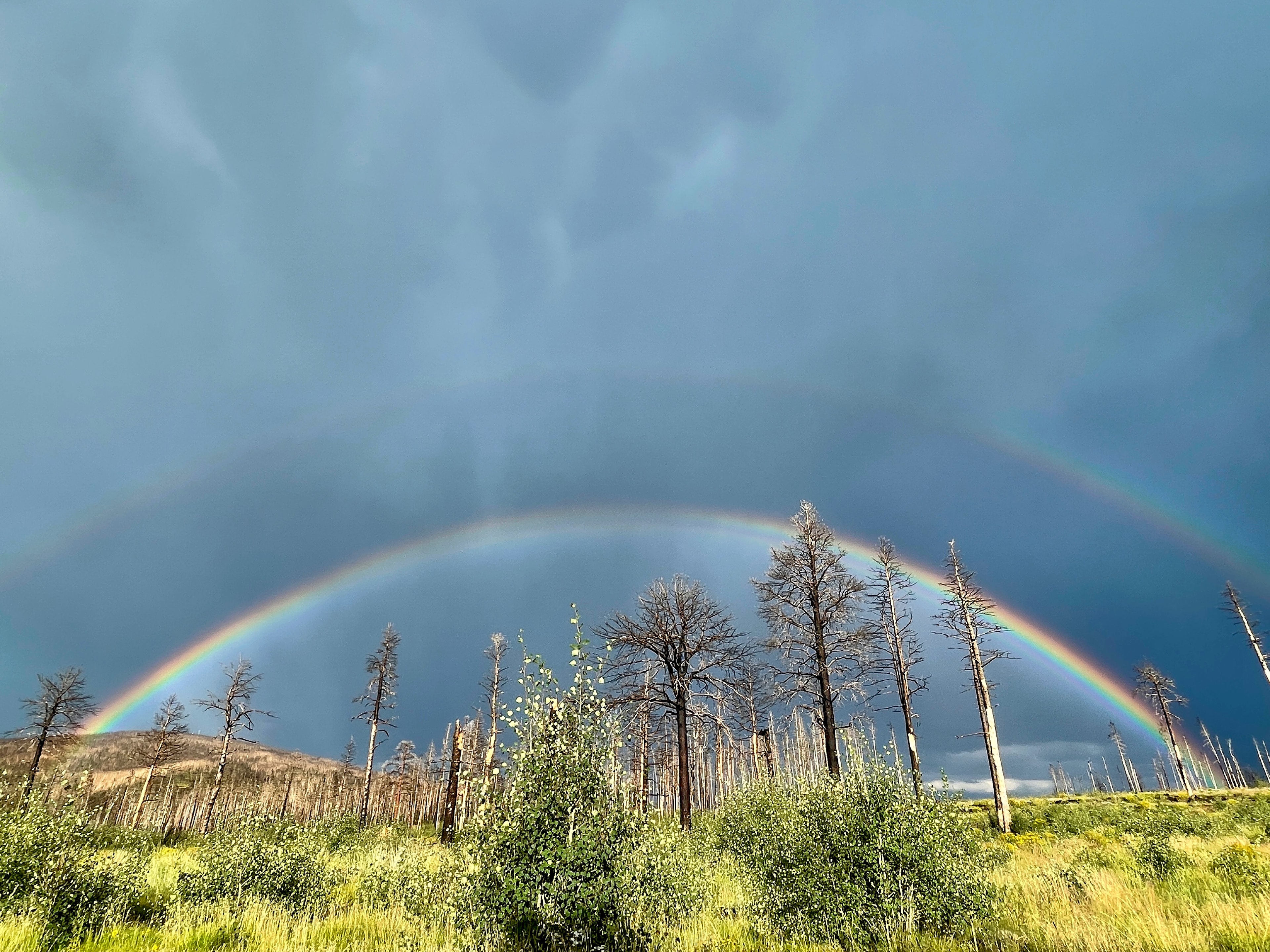 Rainbow over Forbes Park landscape